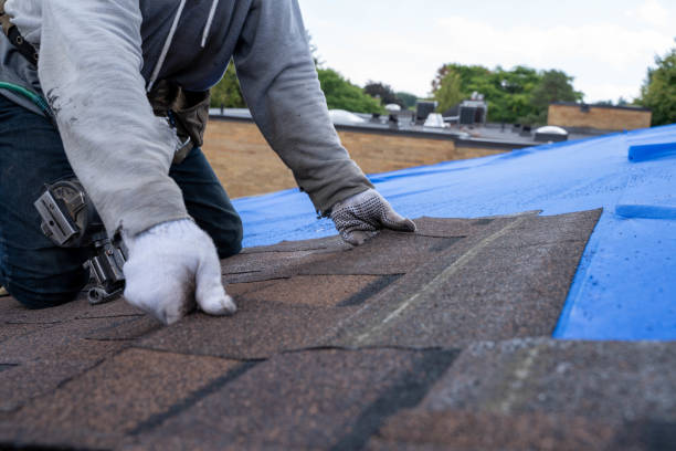 Best Roof Waterproofing Services  in Logan Elm Village, OH