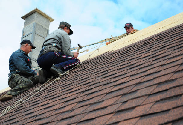 Quick and Trustworthy Emergency Roof Repair Services in Logan Elm Village, OH